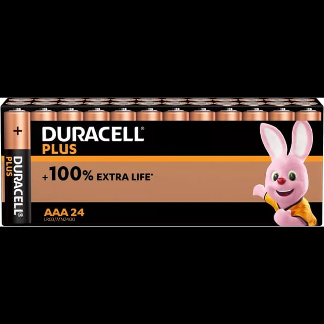Lot de 24 piles Duracell Plus AAA pour appareils variés