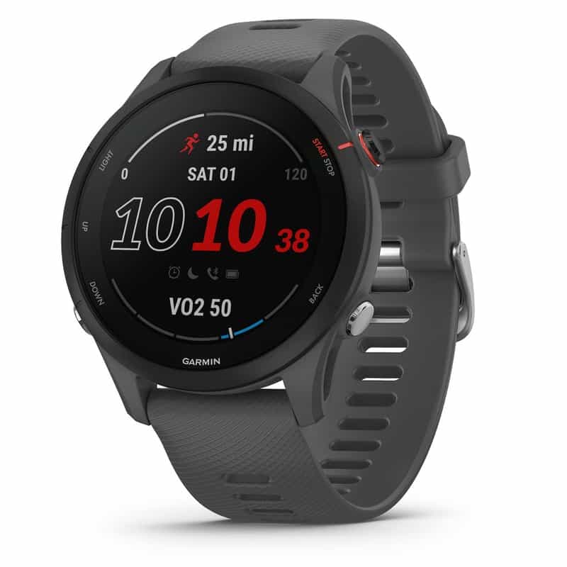 Montre intelligente Garmin Forerunner 255 - 46mm - Coloris Gris (Vendeur indépendant)